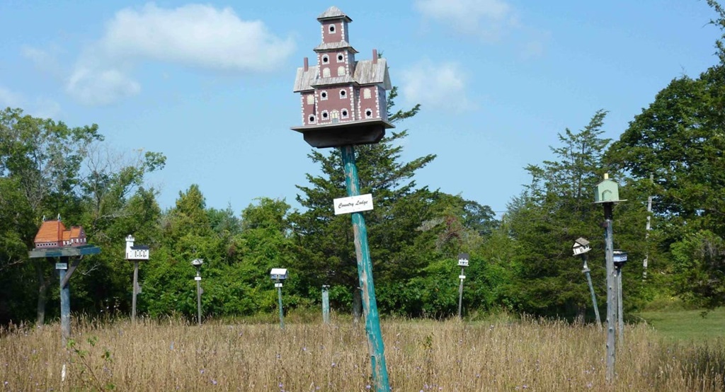 Row of Birdhouses