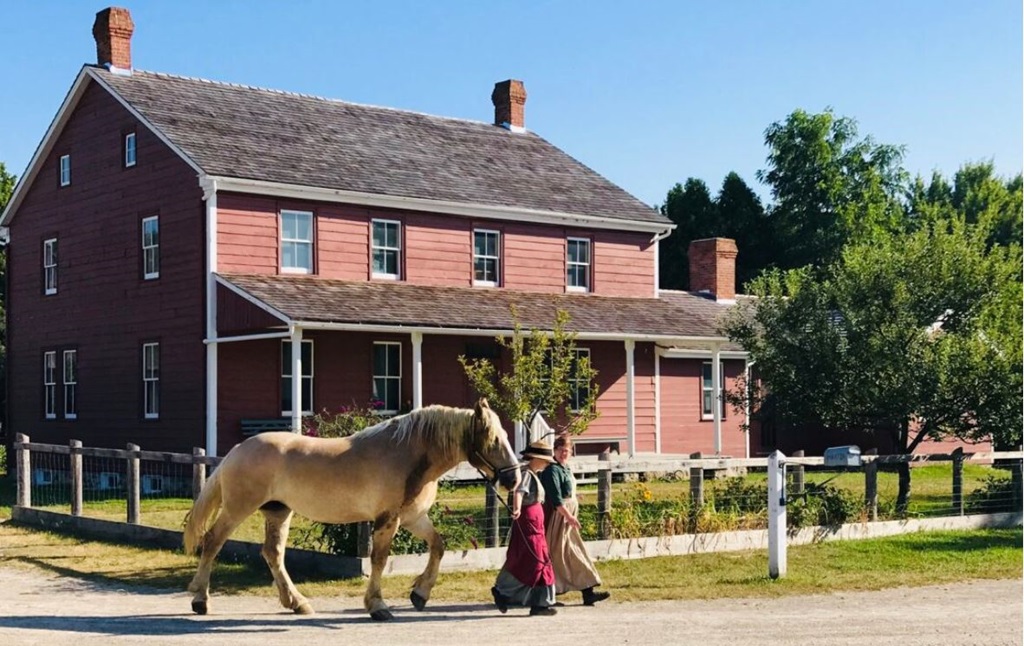 Walking a horse - Doon Heritage Village