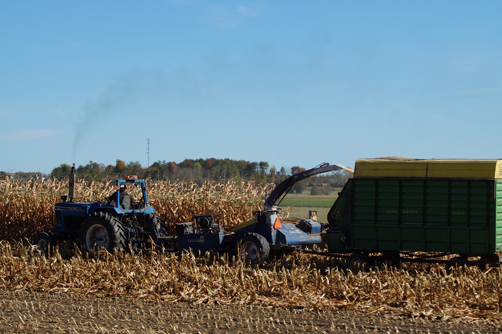 Corn Harvesting - Agritourism Links