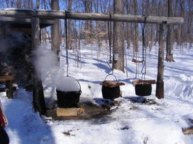 Sugarbush Maple Syrup Festival