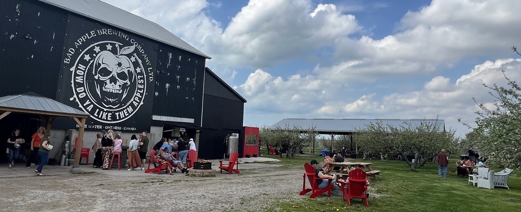 Zurich - Bad Apple Brewing Co.