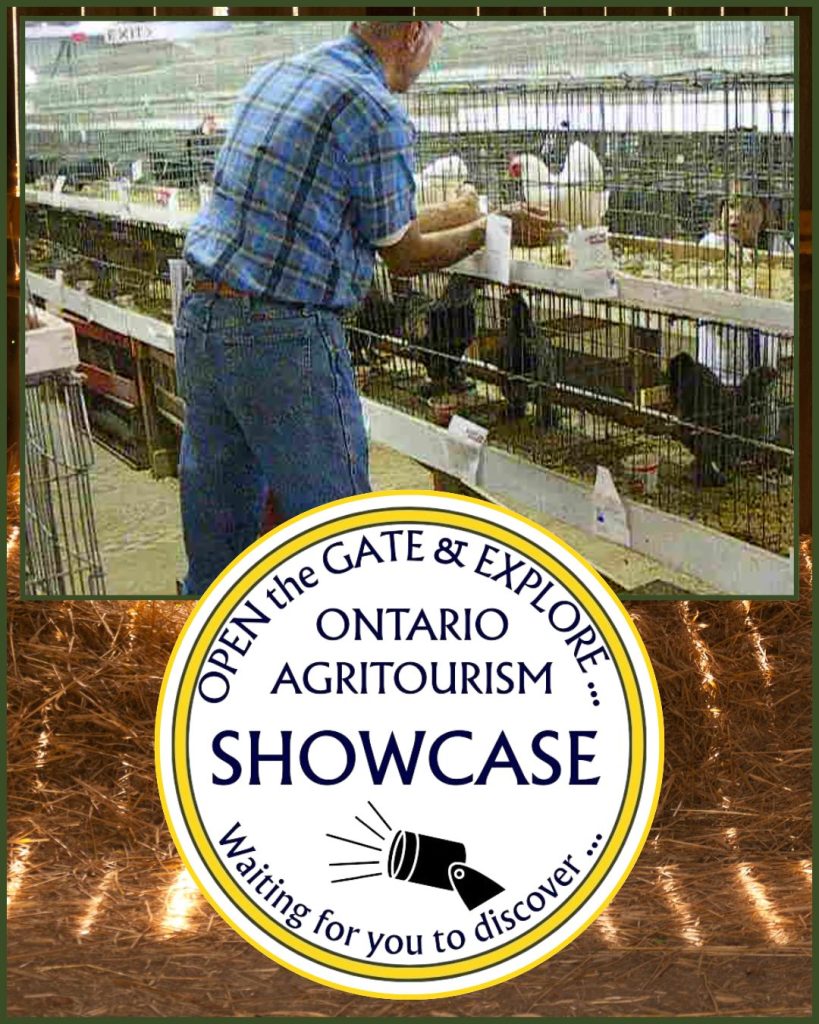 Five Agritourism sections to choose from - Agri Event Directory, Agri News, Agri Guide, Agri Showcase, Agri=Flicks and Agri Field Notes