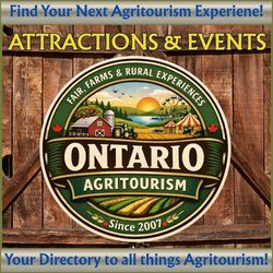 LEX Express Gaming Series 2026