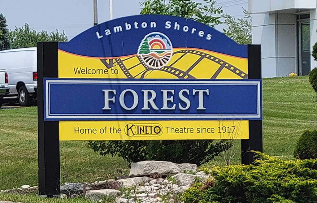 Welcome to Forest