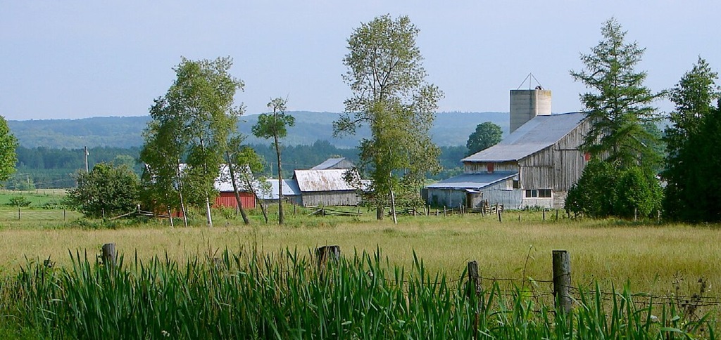 Country Farm