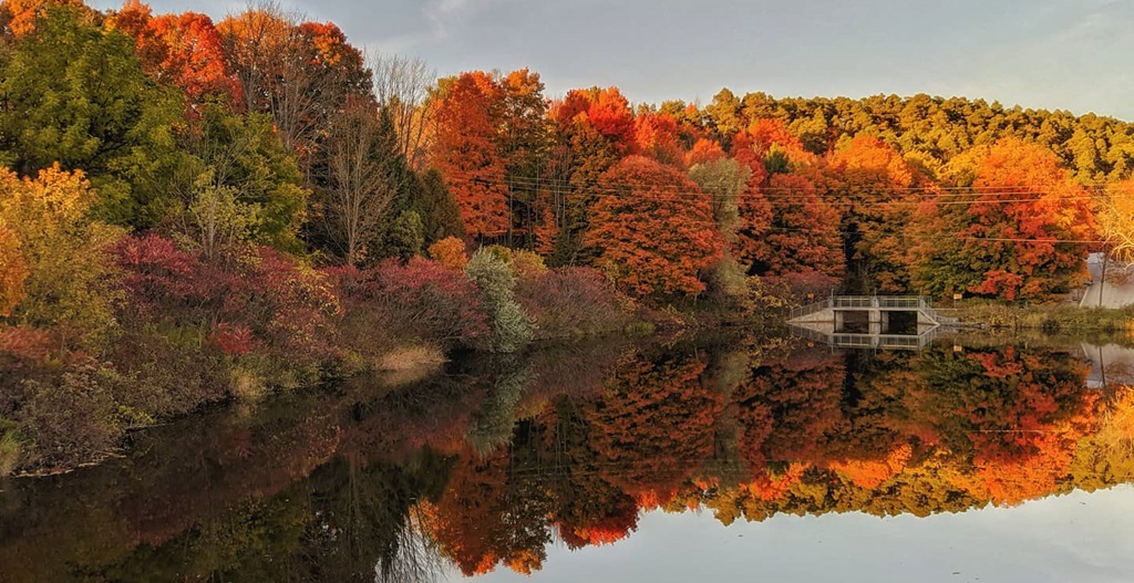 Fall Lake Scene