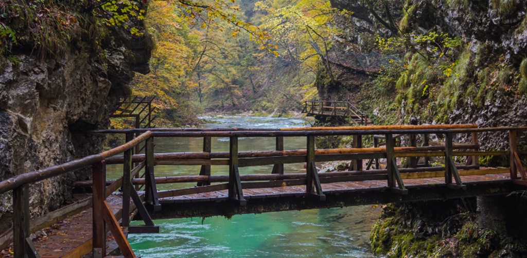 Foot Bridge over River