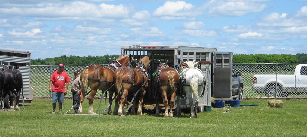 Heavy Horses - Maxville Fair