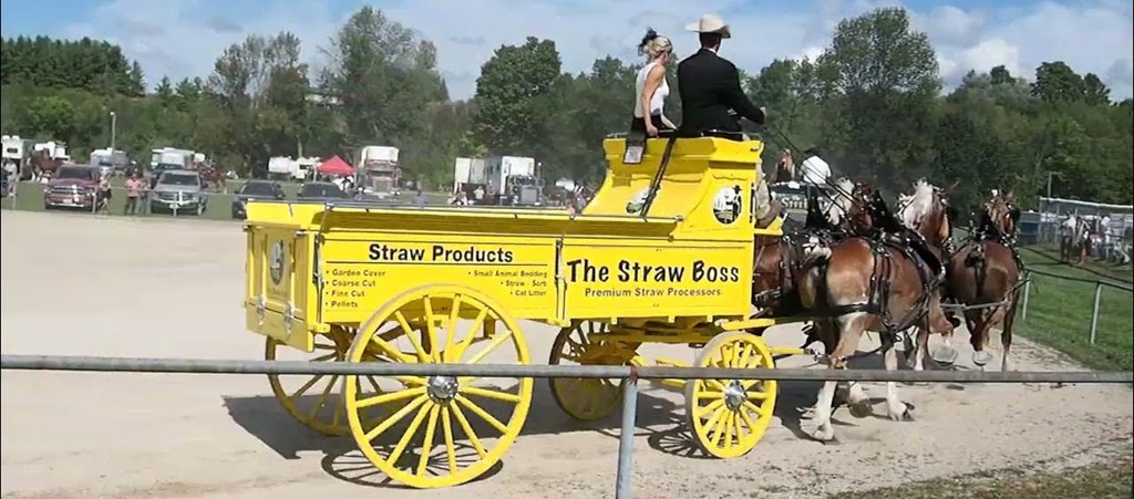 4 Horse Hitch Wagon - Paisley Fall Fair