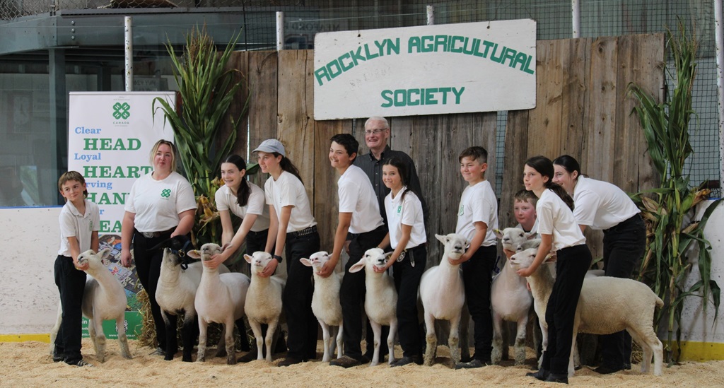 Lamb Judging - Rocklyn Fall Fair