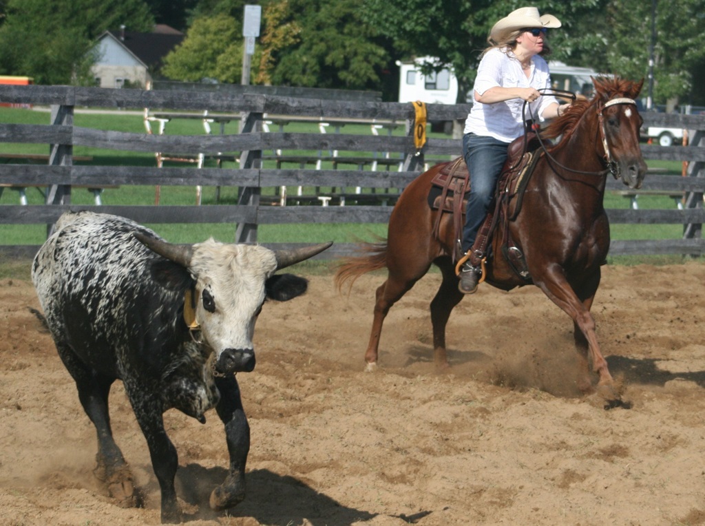 Rodeo Round-up - Rodney Fair