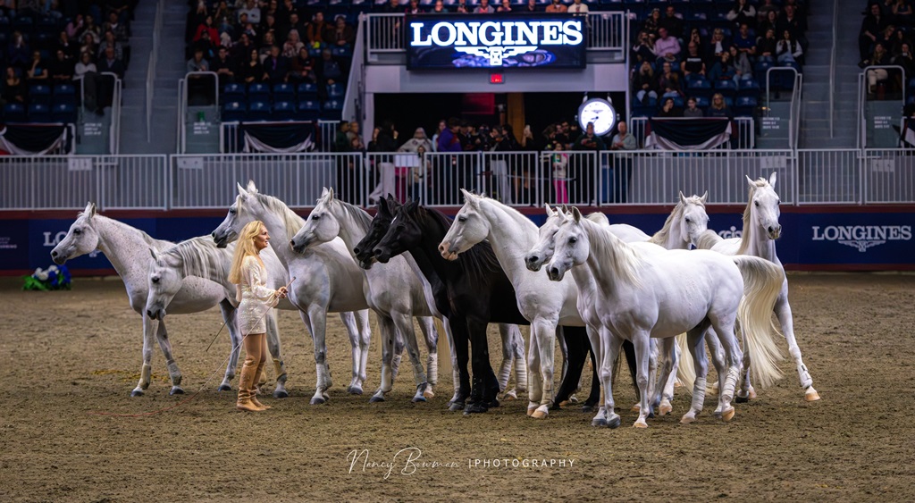 Horse Show - Royal Agricultural Winter Fair