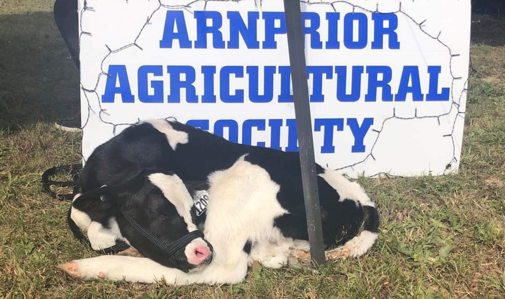 Welcome to the Festival - Valley Agricultural Festival