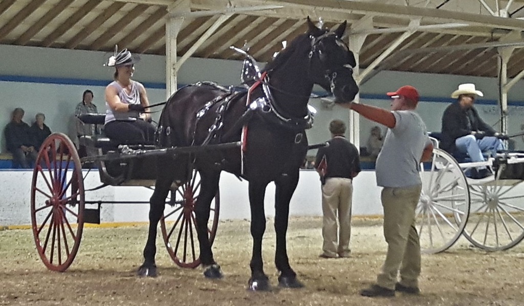 Horse and Trap - Walkerton Little Royal Fair