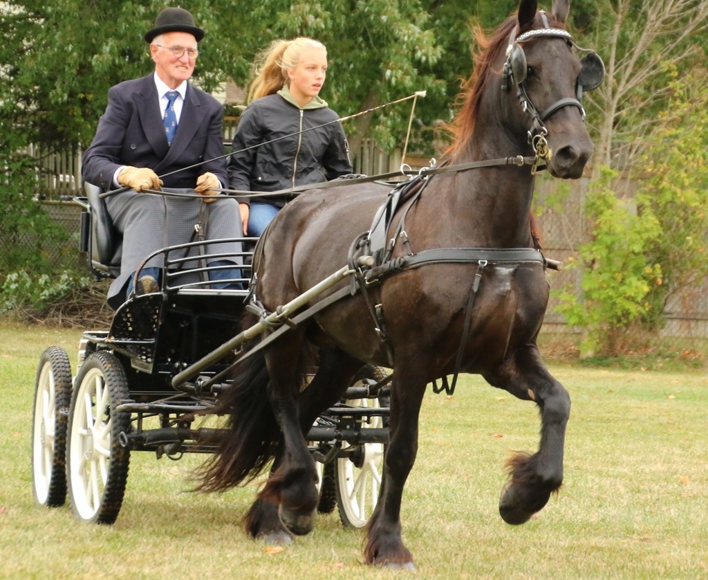 Horse Show - Forest Fall Fair