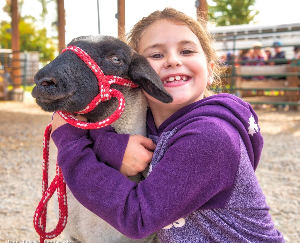 Love - Great Northern Exhibition