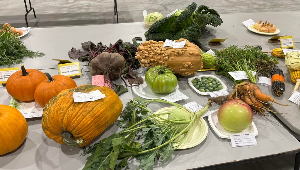 Harvest Display - Langton Fair