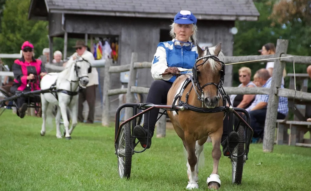 Horse Racing - Merrickville Fair