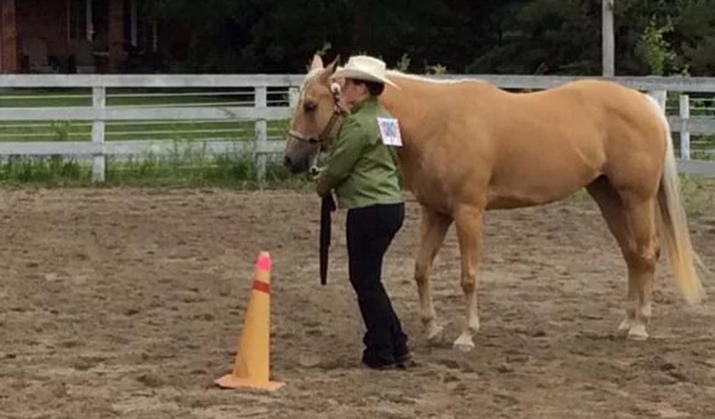 Horse Show - Millbrook Spring Fair 