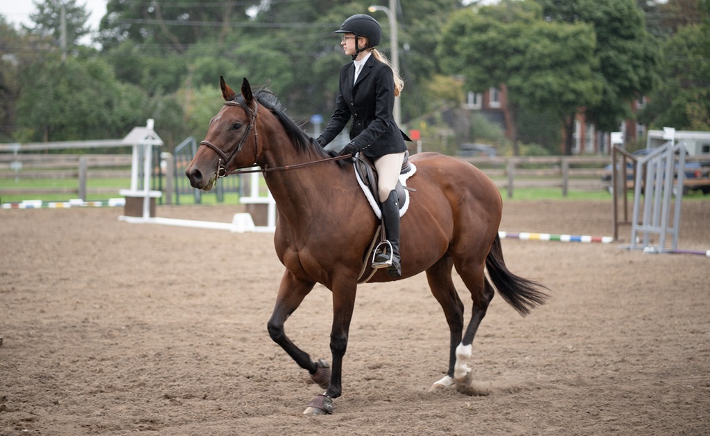 Equestrian Jumping - Milton Fall Fair