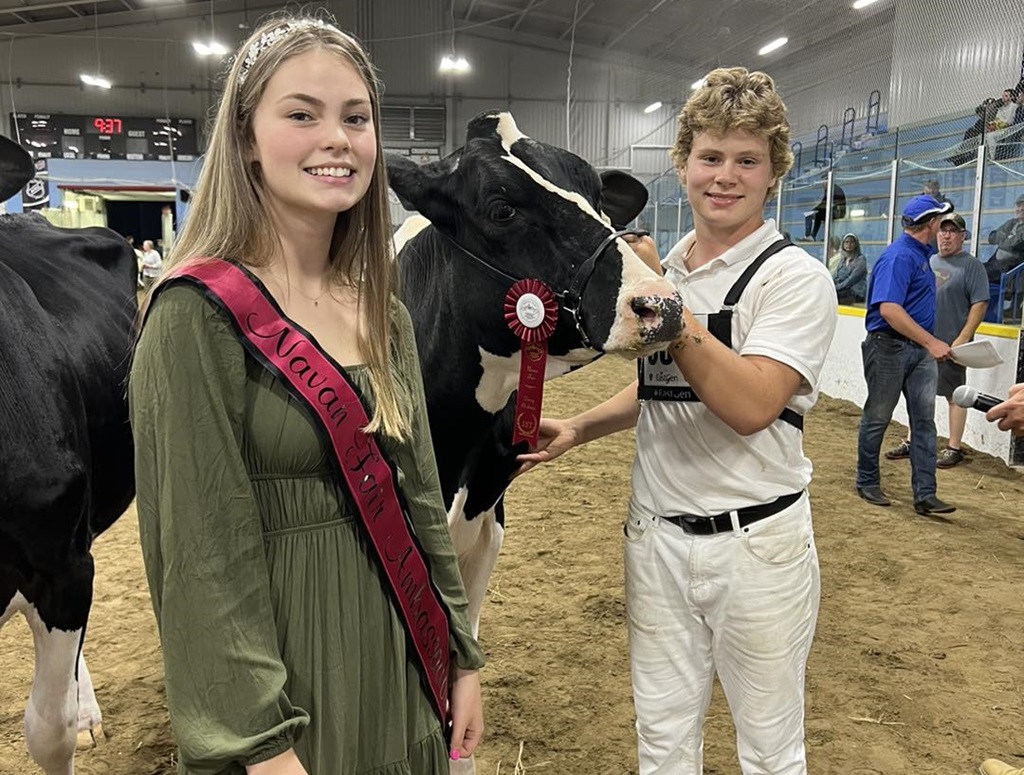 Cow Winner - Navan Fair