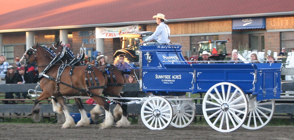 2Horse  Hitch Wagon - New Liskeard Fall Fair
