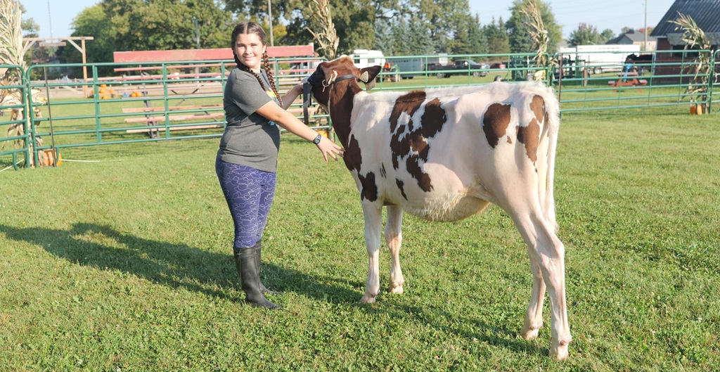 Cattle Show - Richmond Fair