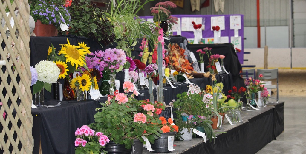 Homecraft Floral Display - Rocklyn Fall Fair
