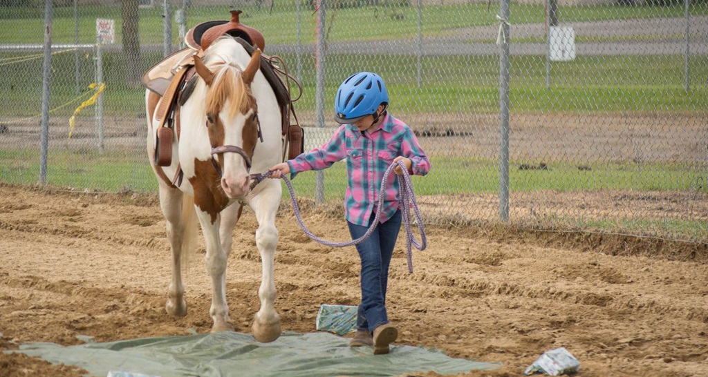 Young Person Leading Horse - South Mountain Fair