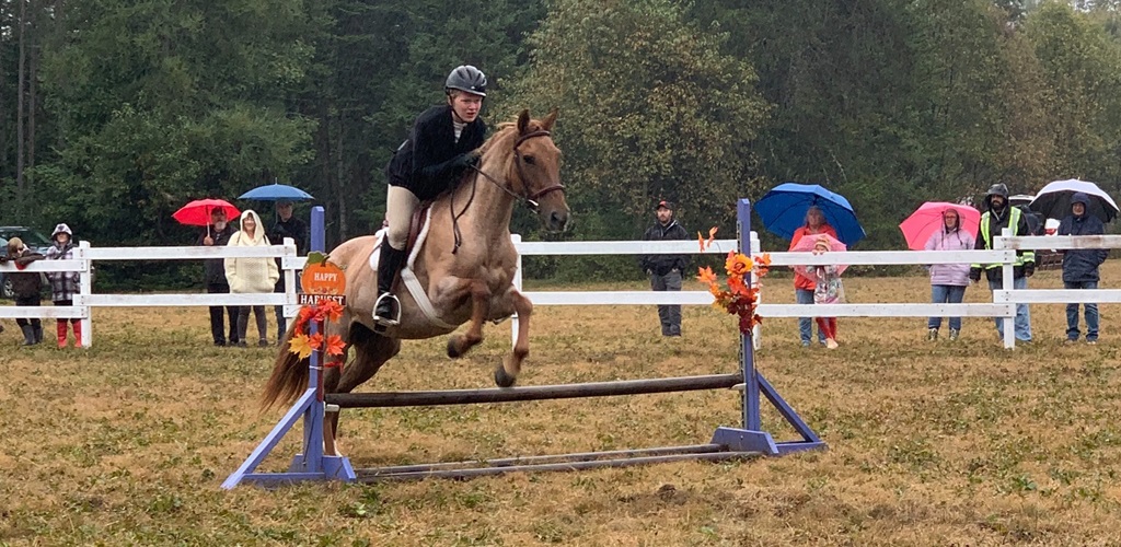Horse Jumping - Stisted Fall Fair