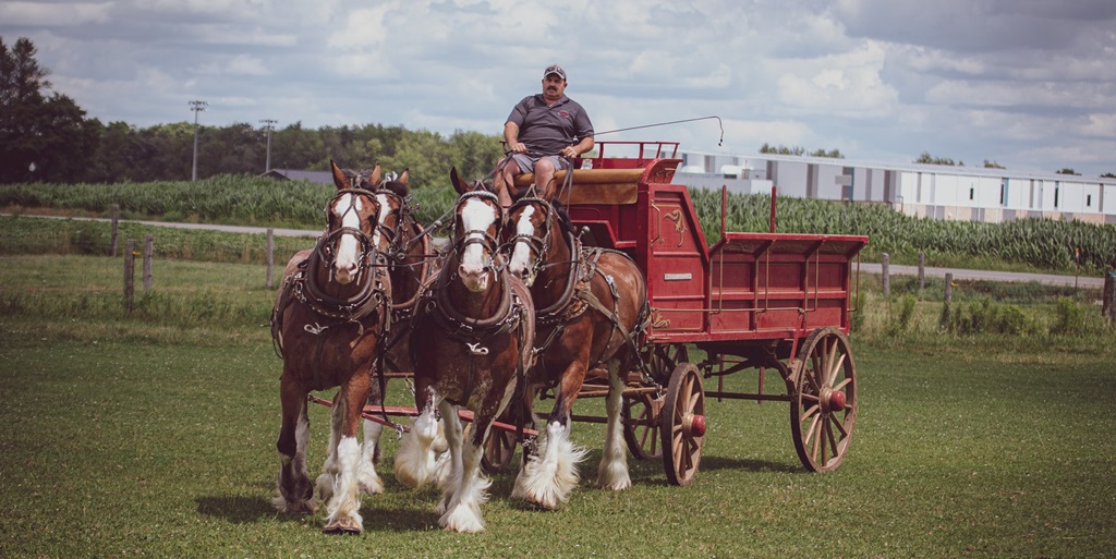 4 Horse Hitch Wagon - Western Fair