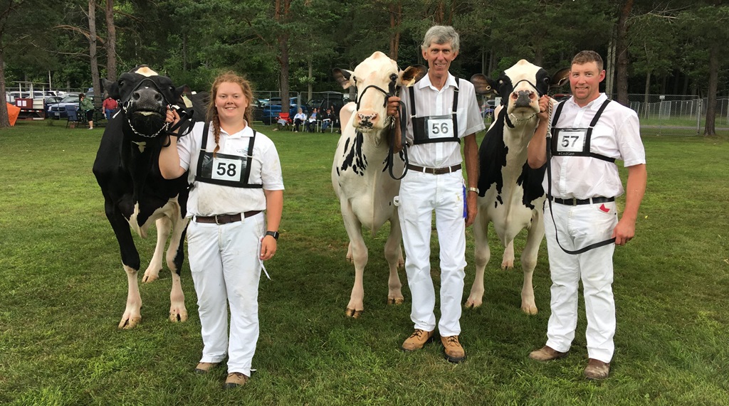 Cattle Show Judging - Williamstown Fair