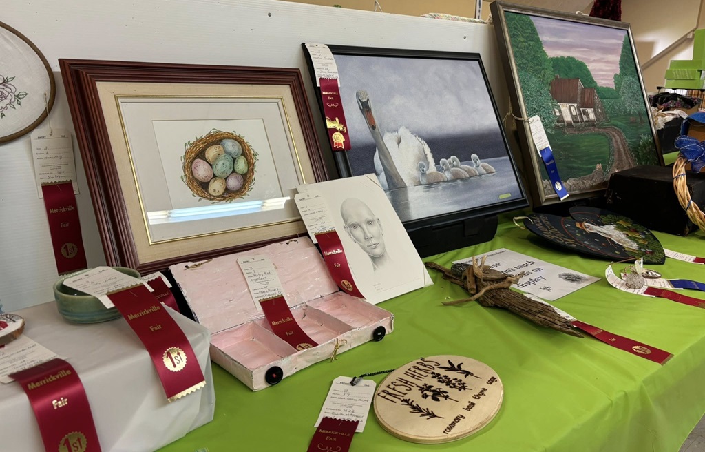 Homecraft Display - Merrickville Fair