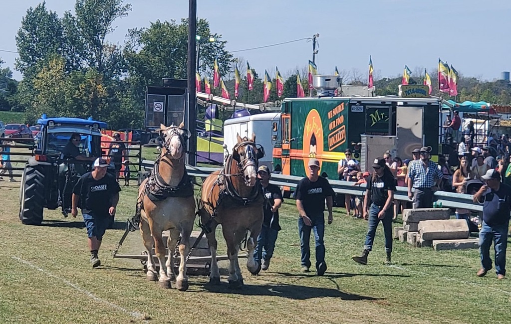 Heavy Horse Pull - Mohawk Fair