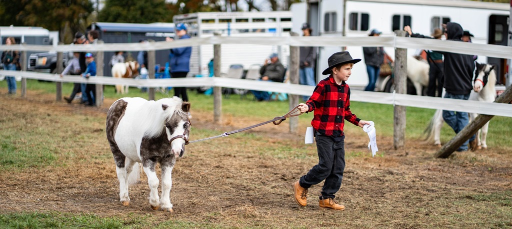 Young Boy Leading his Pony - Norfolk County Fair and Horse Show