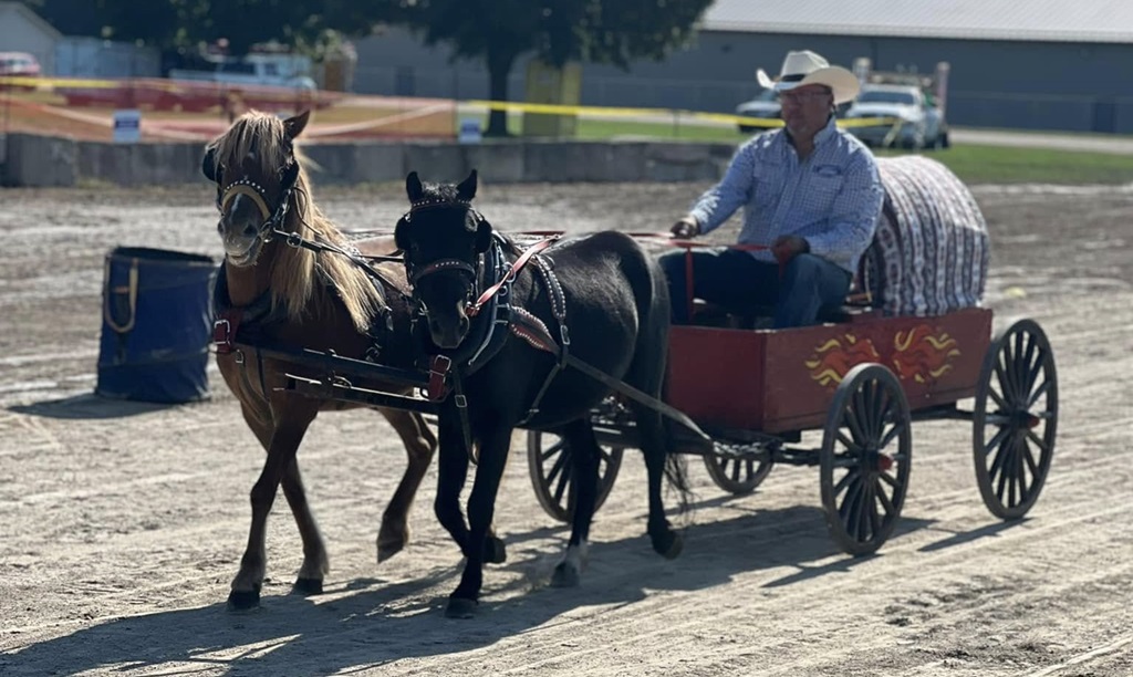 Mini Chuck Wagon Race  - Rodney Fair