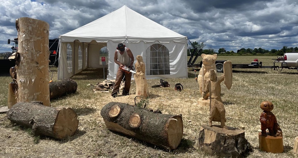 Saw chain Carving - Valley Agricultural Festival
