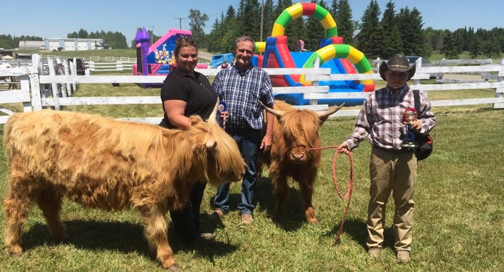 Cattle Show - Warren Fair
