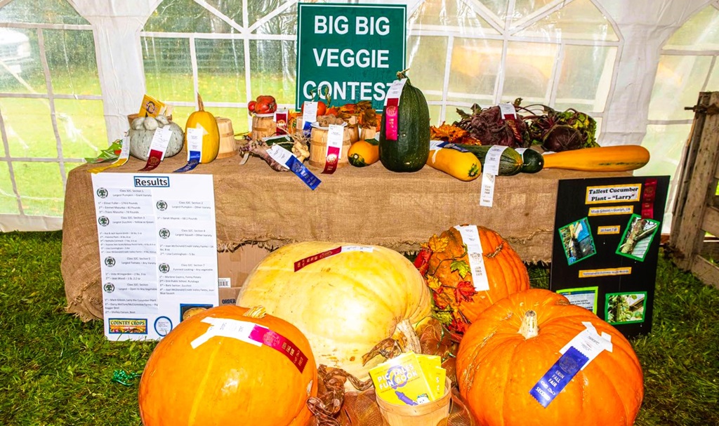 Big Veggie Contest - Erin Fall Fair