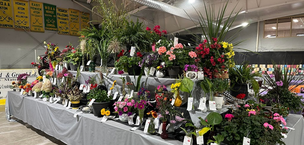 Homecrafts - Howick-Turnberry Fall Fair