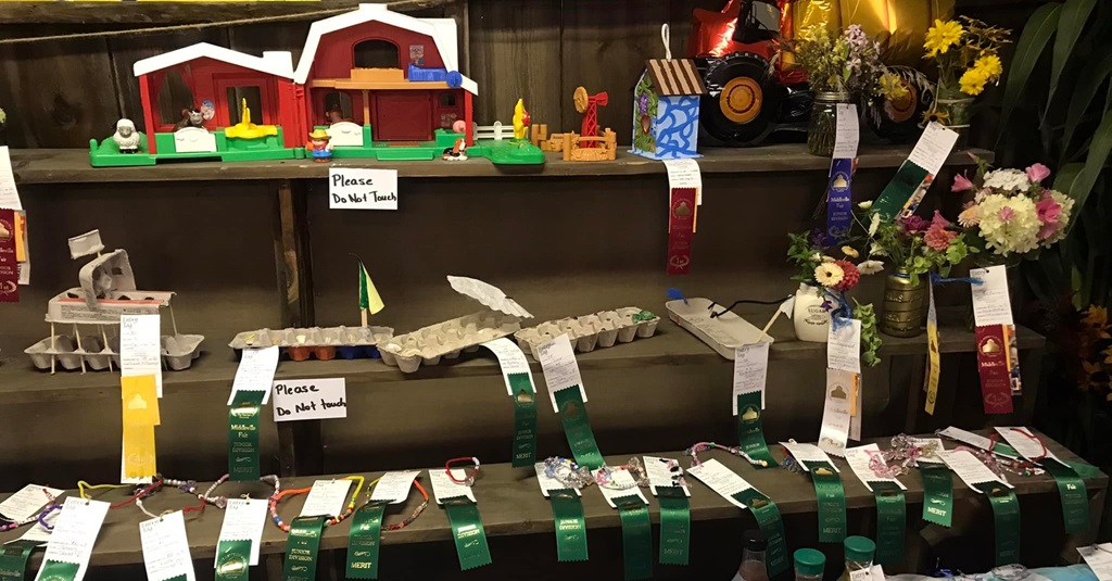 Homecraft Winner - Middleville Fall Fair