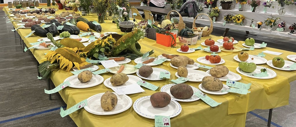 Homecraft Produce Display - Mildmay Fall Fair