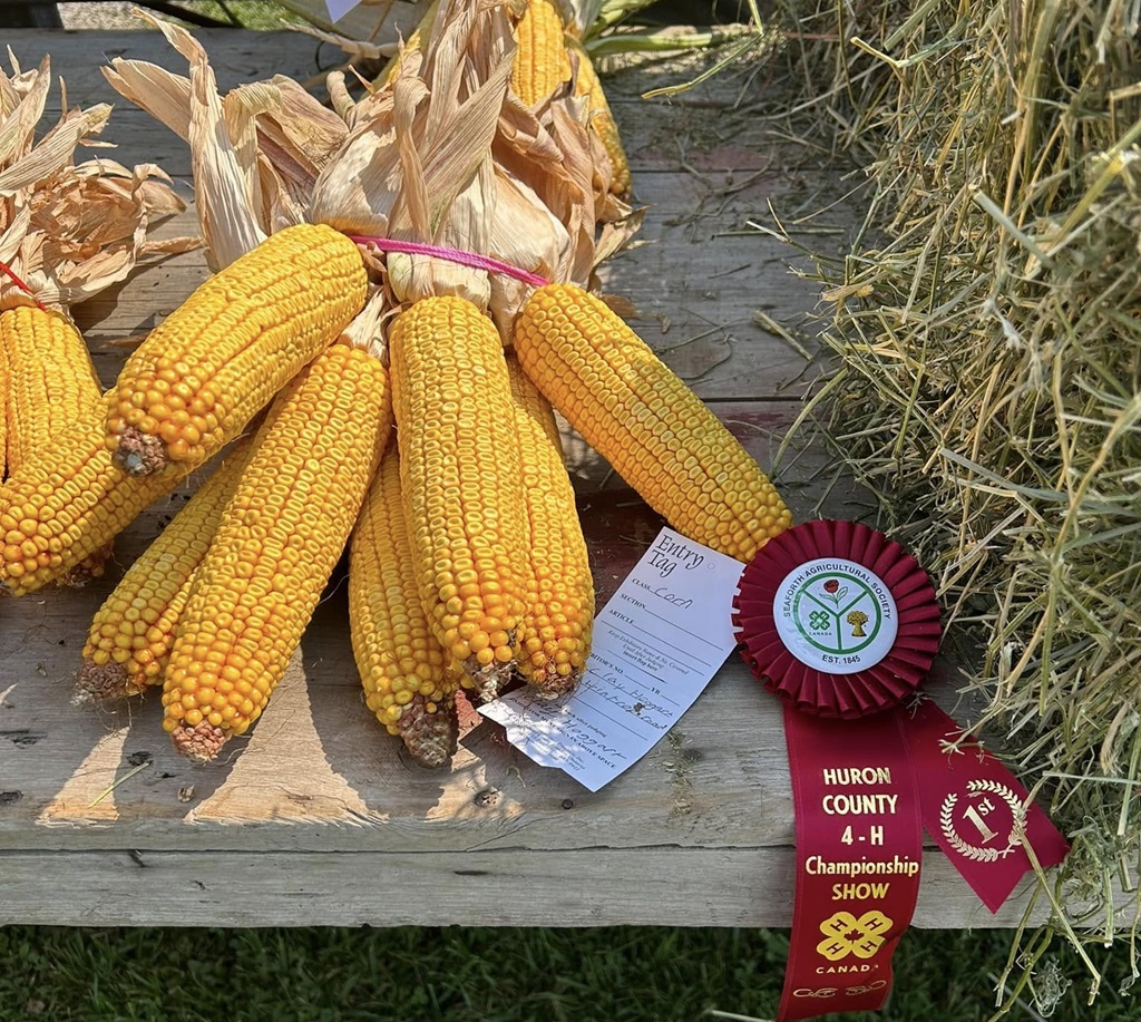 Homecraft Produce Winner - Seaforth Fall Fair