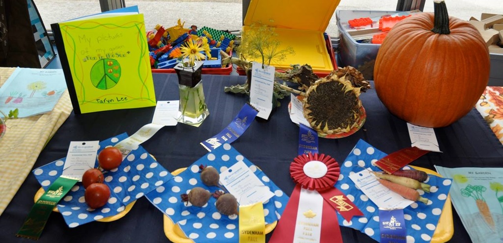 Homecraft Display - Sydenham Fall Fair