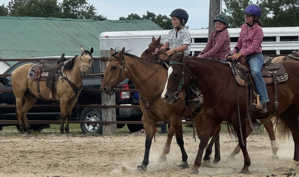 Horse Show - Teeswater Fair