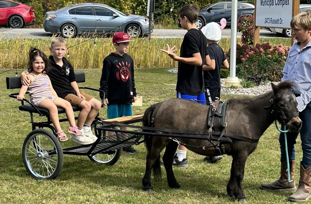Pony and Trap - Valley Agricultural Festival