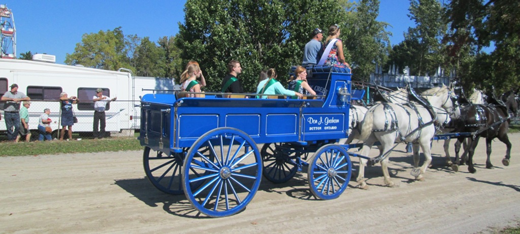 4 Horse Hitch Wagon - Wallacetown Fair