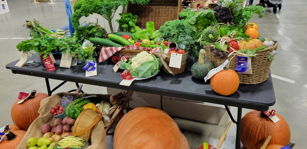 Homecraft Produce Display - Wellesley Fall Fair