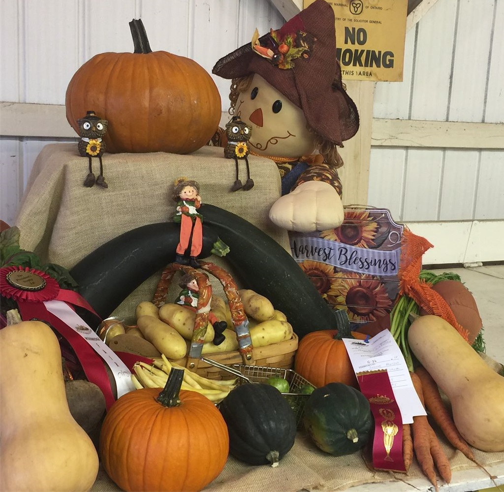 Homecrafts Display - Woodbridge Fall Fair
