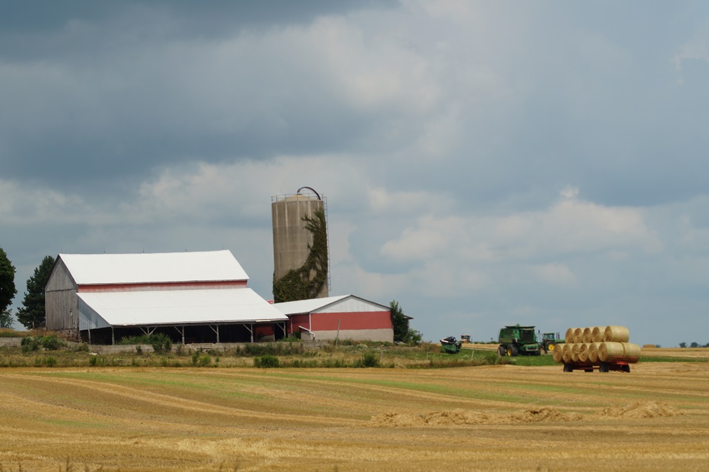 Road Less Traveled – Country Farm Scene (Guide to Agritourism)